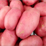 Red potatoes(5kg)